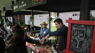 Los Tres, María José Quintanilla y Los Jaivas celebran la Vendimia del Valle del Maipo: cuándo y dónde es