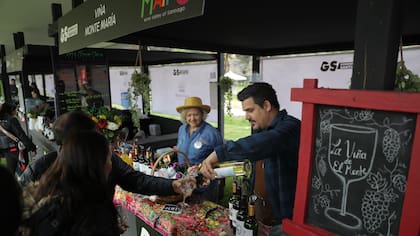 Los Tres, María José Quintanilla y Los Jaivas celebran la Vendimia del Valle del Maipo: cuándo y dónde es