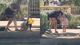 Graban a mujer robando patito de mall de la capital: lo guardaron en bolsillo