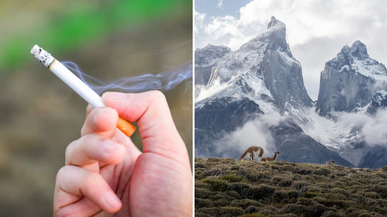 Turista israelí que fumó en Torres del Paine deberá donar $1 millón a Bomberos: Le prohibieron el ingreso a Chile