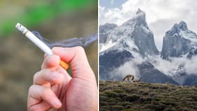 Turista israelí que fumó en Torres del Paine deberá donar $1 millón a Bomberos: Le prohibieron el ingreso a Chile