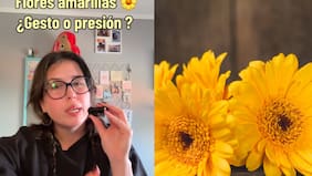 “Amiga, tienes que reflexionar”: joven se viralizó con reflexión sobre las flores amarillas