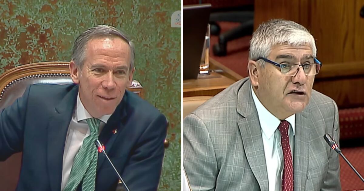 CHASCARRO EN EL CONGRESO: Alessandri confunde a Chandía con árbitro