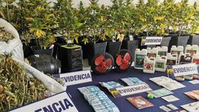 Traficante de Navidad dejaba con turbina a los renos de Santa