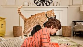 Conoce los beneficios que proporcionan las mascotas a niños con TDAH