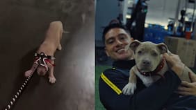 Sammis Reyes dio explicaciones luego de ser acusado de “maltratar” a su perrita