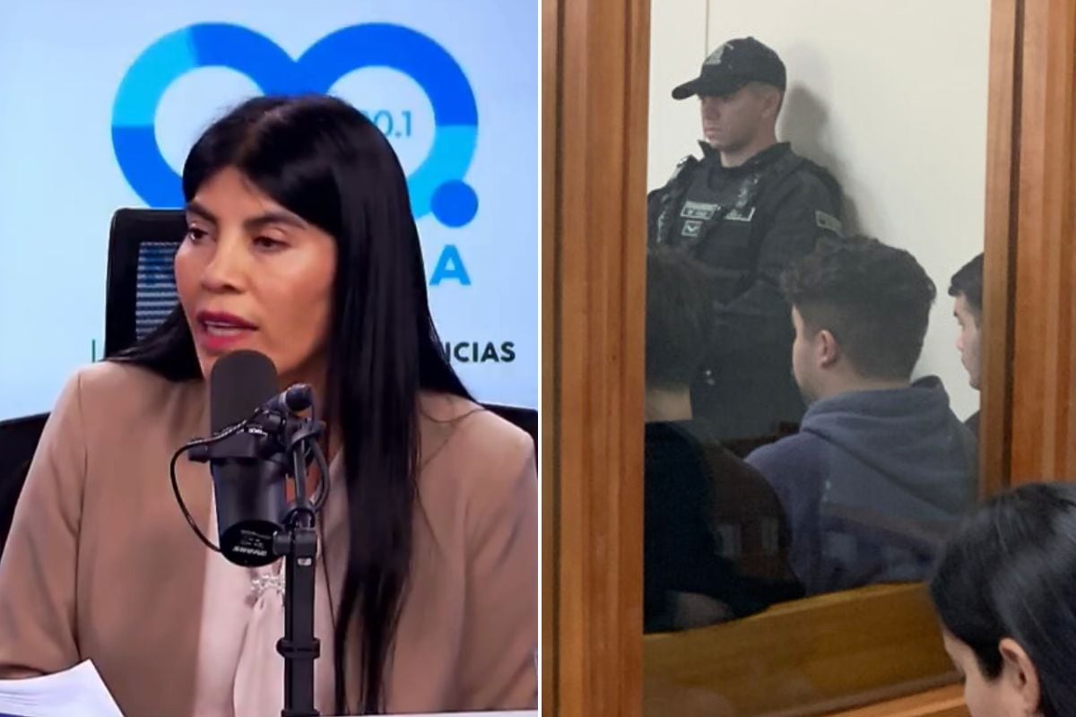 DETENIDOS ESTUDIANTES AGRESORES MINISTRA LINCOLAO