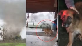 Tornado se la llevó y el video impactó a todos: qué pasó con “Tuca”, la perrita que el viento hizo volar en Ñuble