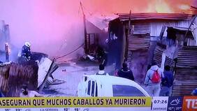 Caballos mueren quemados por voraz incendio en Cerro Navia