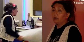 Pincoya - Gran Hermano