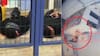 Cámara de seguridad echó al agua al guardia: detienen a banda que intentó cometer millonario robo en bodega de Pudahuel