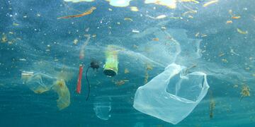 Cómo reducir el uso de bolsas plásticas puede darle a la Tierra 500 años de respiro