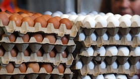 “Tiende a confundir al consumidor al momento de la compra”: Sernac detecta irregularidad en etiquetado de huevos
