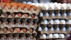 El precio de los huevos está por las nubes y ahora alguien se robó 100,000 en EE.UU