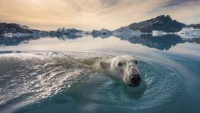National Geographic celebra 100 millones de seguidores en Instagram con sus fotos más populares