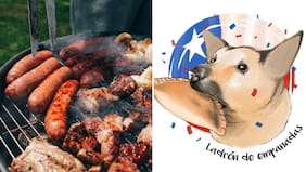 Por un 18 pet friendly: ¿Qué alimentos típicos no pueden comer nuestras mascotas?