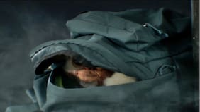 La espera por Gremlins 3 será más larga: primer teaser confirma su retraso hasta 2028