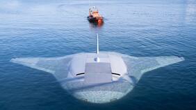 “Llega hasta donde los humanos no pueden”: cómo es la mantarraya robot de Estados Unidos para cumplir misiones submarinas