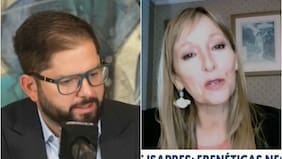 “Fue una pequeña traición”: Ana María Gazmuri se refirió a dichos de Boric sobre perro “matapacos”