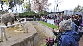 Feroz polémica por idea de mover Zoológico Metropolitano