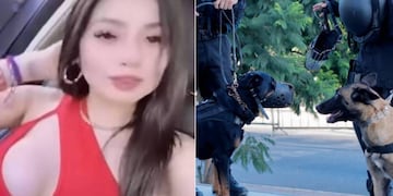 Narcoreina - operativo