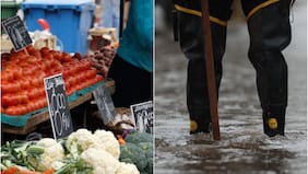 ¿Subirá el precio de las frutas y verduras tras el temporal y las inundaciones? Esto dicen las autoridades