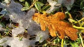 La primera ola de frío de este 2025 ya tiene fecha: esta semana bajarán las temperaturas en Santiago