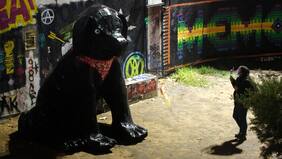 “La derecha quiere correr el cerco hasta no poder más”: Presidente del PC calificó de “exagerado” el debate sobre el perro Matapacos