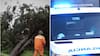Reportan tragedia en pleno temporal: trabajador murió aplastado por un árbol en el Biobío