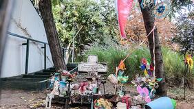 Sobrevive a la "zona cero"