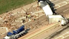 No hubo heridos: camión de juguetes sexuales se volcó y dejó los productos desparramados en la carretera