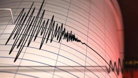 Terremoto de alta intensidad sacude a México: SHOA reacciona y aclara panorama para costas chilenas