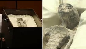 Los “alienígenas” presentados en México son una farsa: están hechos con huesos, pegamento y papel