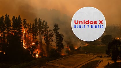 “Unidos por Ñuble y Biobío”: revisa horario y animadores confirmados para la transmisión solidaria