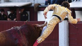 Así fue la brutal y "recta" cornada que recibió un torero en su parte trasera