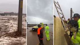 Alcaldes y parlamentarios presionan al Gobierno para decretar zona de catástrofe en Coquimbo