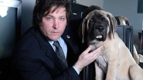 La impactante historia del perrito de Javier Milei: fue clonado a través de un insólito procedimiento