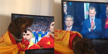 Nino, el perro salchicha