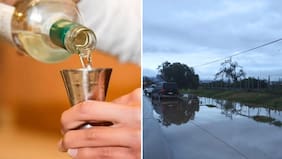 Sistema frontal golpea a la industria del pisco: más de 150 productores afectados y plantas paralizadas
