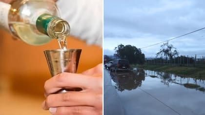 Sistema frontal golpea a la industria del pisco: más de 150 productores afectados y plantas paralizadas