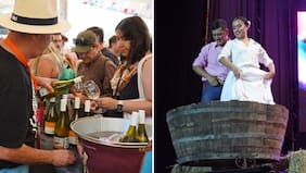 Fiesta de la Vendimia de Colchagua 2026: Conoce los artistas invitados y dónde comprar entradas