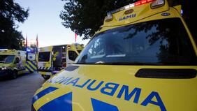 Mujer de 50 años murió tras caída de un árbol en medio de los fuertes vientos en Puerto Montt