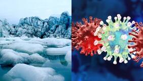 ¿Podríamos vivir lo mismo que en 2020? Científicos alertan sobre el llamado “virus zombie”