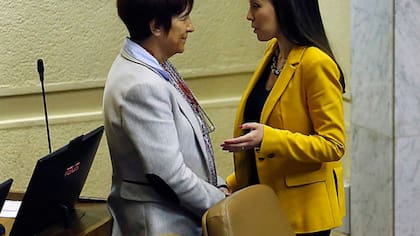 “Camila ‘cuota’ Flores es una arribista punga que no le llega...”: Carmen Hertz se desata en defensa de Fabiola Campillai