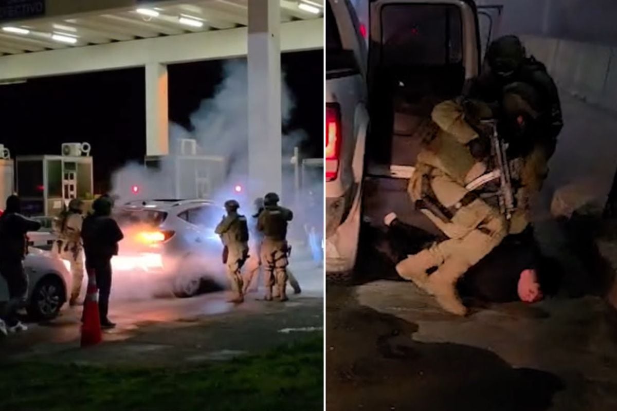 Traficantes no la podían creer: la maniobra de Carabineros para caer sobre banda que llevaba carga de marihuana a Chiloé
