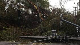 Expertos explican las razones detrás de la masiva caída de árboles en Santiago tras temporal