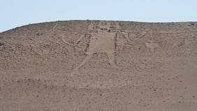 Detienen a tres personas por dañar al "Gigante de Tarapacá"