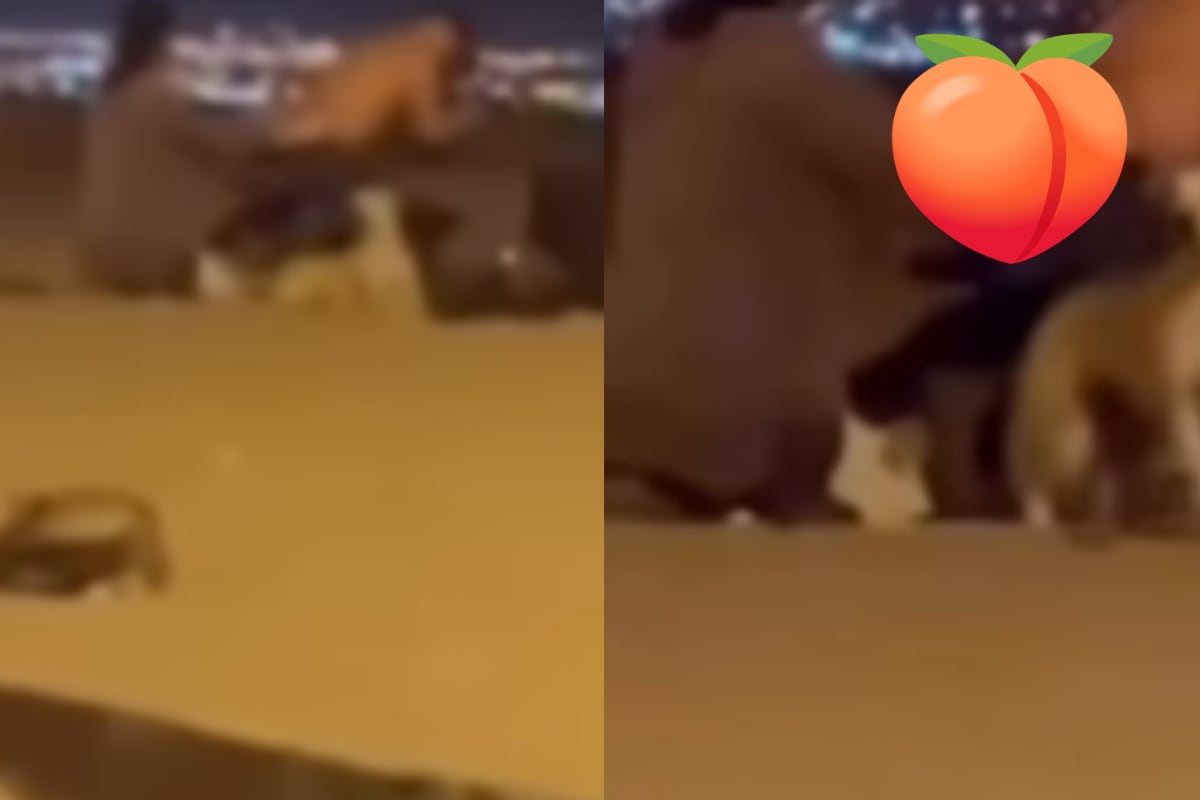 Masajes de marzo: Relajación y exposición pública