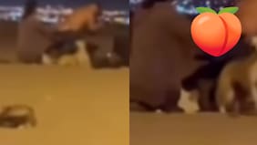 Video: le masajean el trasero a hombre a vista de todos en playa de La Serena