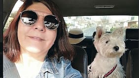 Reencuentro con el hermano del año: le robo auto, dinero y hasta el perro